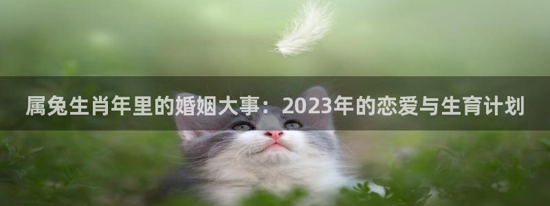 jdb电子体育合法嘛