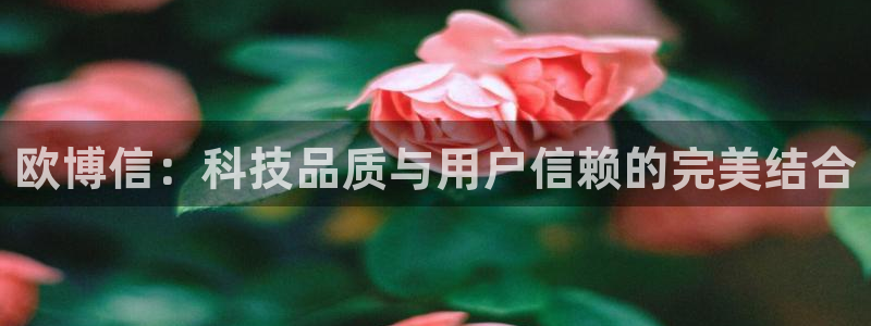 jdb电子体育网页版入口：欧博信：科技品质与用户信赖的完美结合