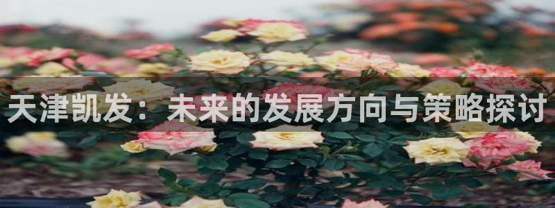 jdb电子体育和杏耀是哪个公司的：天津凯发：未来的发展方向与策略探讨
