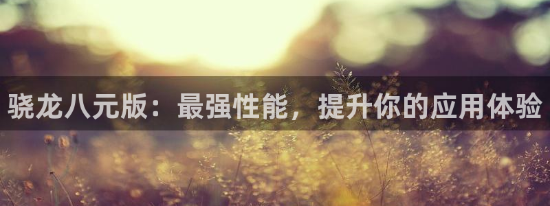 jdb电子4官网：骁龙八元版：最强性能，提升你的应用体验