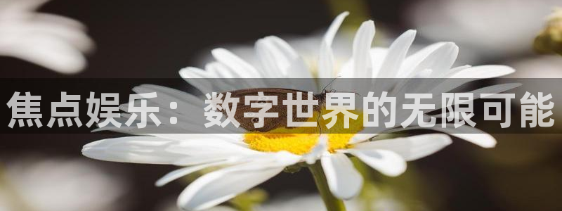 jdb电子电子有限公司：焦点娱乐：数字世界的无限可能