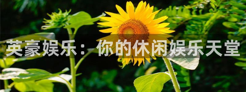 jdb电子2登录：英豪娱乐：你的休闲娱乐天堂