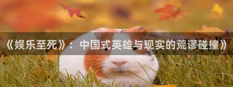 jdb电子集团股票：《娱乐至死》：中国式英雄与现实的荒谬碰撞》