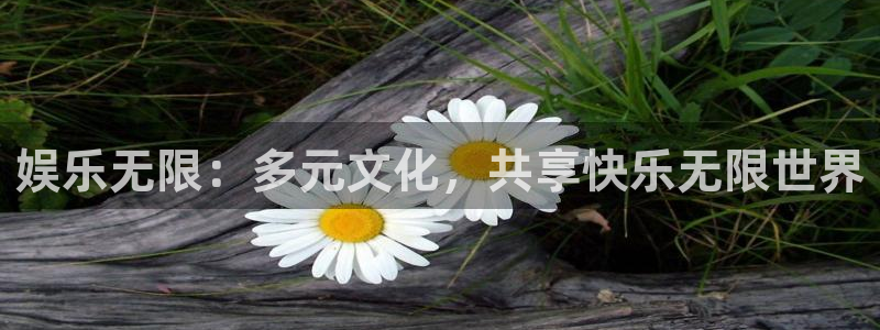 jdb电子凯捷注册：娱乐无限：多元文化，共享快乐无限世界