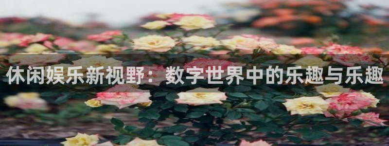 jdb电子体育2官网入口：休闲娱乐新视野：数字世界中的乐趣与乐趣