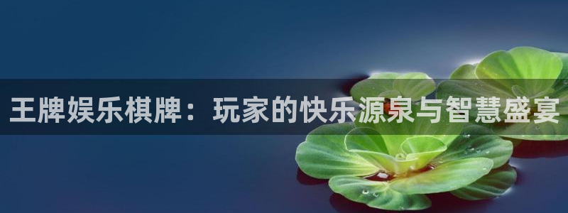 jdb电子5招商：王牌娱乐棋牌：玩家的快乐源泉与智慧盛宴