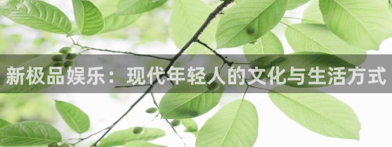 jdb电子股份：新极品娱乐：现代年轻人的文化与生活方式